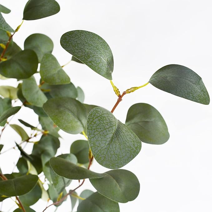 Warmplants Artificial Eucalyptus Tree, 6ft Tall Fake Eucalyptus Plant with Basket, Green Silver Dollars Silk Leaves Faux Tree for Home Office Livingroom Floor Decor Indoor