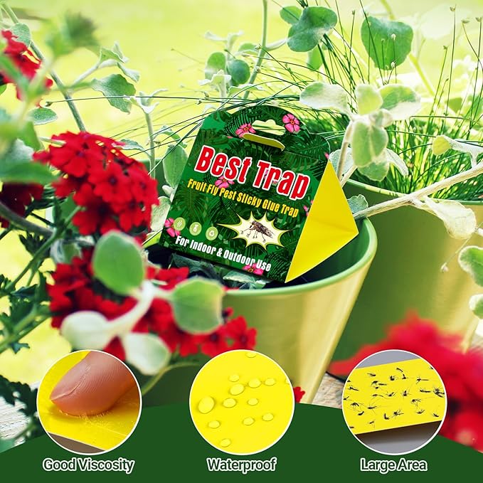 Qualirey 20 Piece Hanging Fruit Flies Traps with Attractant, Yellow Sticky Fly Strips Gnat Traps for Kitchen, Indoor Plants, Garden Strong Adhesive Glue Boards