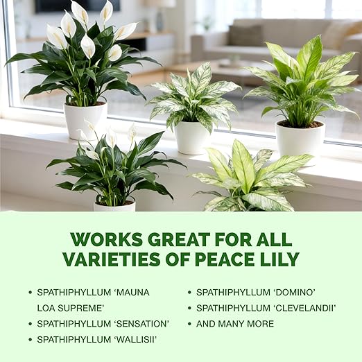Peace Lily Fertilizer – Liquid Plant Food for More Blooms, Deep Green Leaves & Healthy Root Development, 8 oz