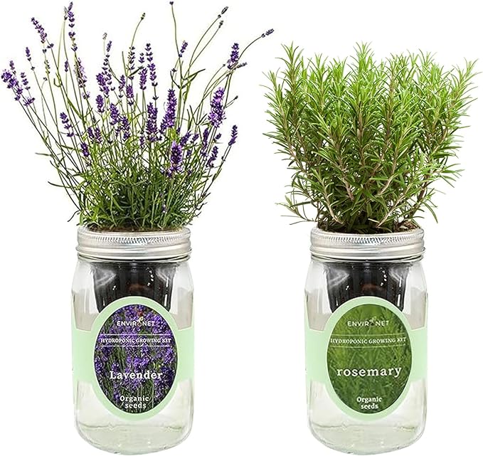 2-Pack Hydroponic Mason Jar Herb Garden Kit, Indoor Herb Garden Self-Watering Starter Kit, New Christmas Gift for Mom (Lavender,Rosemary)