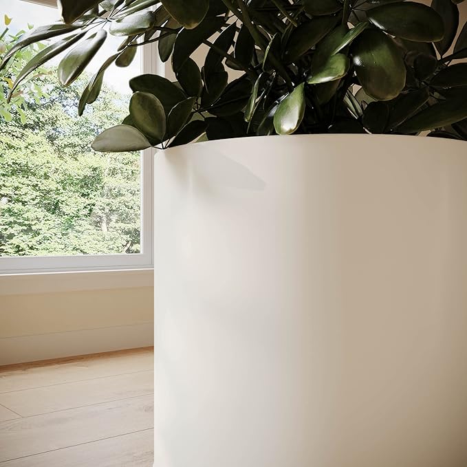 EverNest Raya White Minimalist Indoor Plant Pot with Peg Leg Stand, 10-Inch Plant Holder, SelectBase, Mid-Century Modern Plant Pot, Minimal Neutral Home Decor (Medium, 2 Gallon)