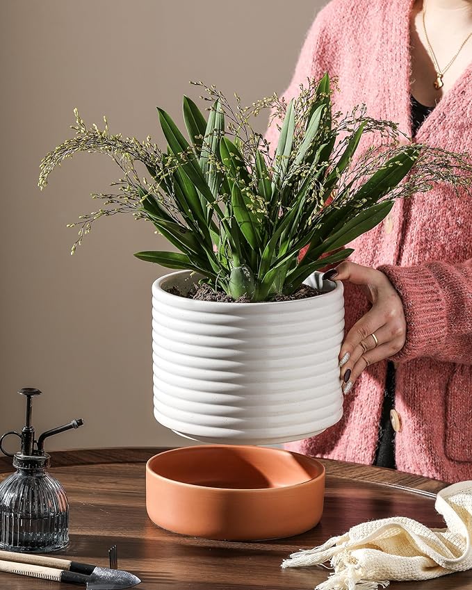 Self Watering Plant Pot : 8 Inch Ceramic Planter with Drainage Hole & Water Storage Plus - Flowerpot for Indoor & Outdoor Plants (Cream White & Red-Brown)