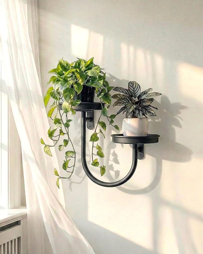 Bamworld Wall Planters for Indoor Plants Wall Plant Holder Plant Wall Shelves Metal Hanging Planters for Indoor Plants Window Plant Shelves Plant Hanger Indoor Plant Decor Black