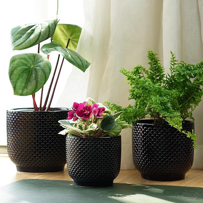 4 + 5 + 6 Inch Ceramic Pots for Indoor Plants, Succulents Plant Pots, Orchid Flower Pot with Drainage Hole, Modern Clay Stoneware Planters, Set of 3 (Black, 4+5+6 Inch)