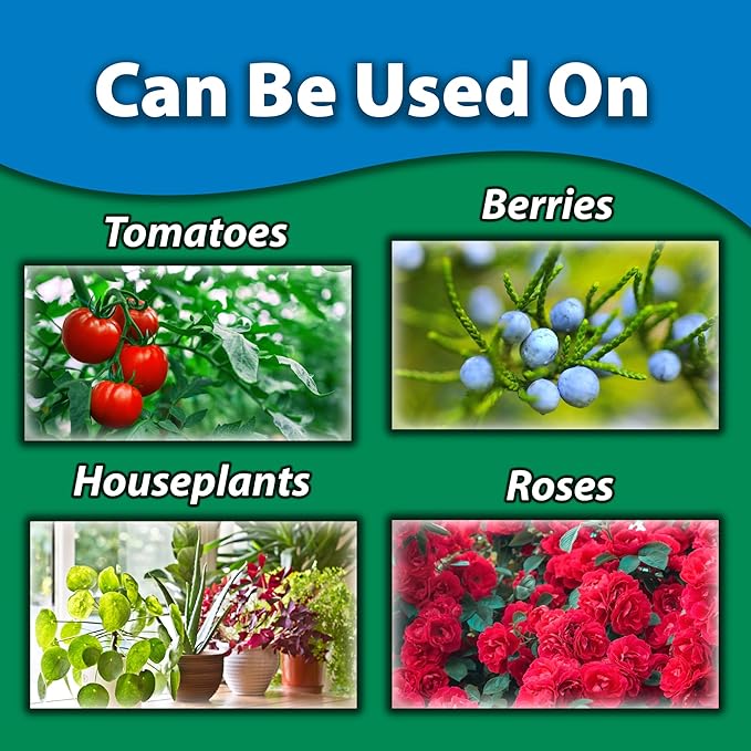 Monterey Neem Oil RTU – 32oz Fungicide/Insecticide/Miticide – Controls Black Spot, Powdery Mildew, Rust, Spider Mites, Aphids, and More – Bunded with Garden Measure Spoon