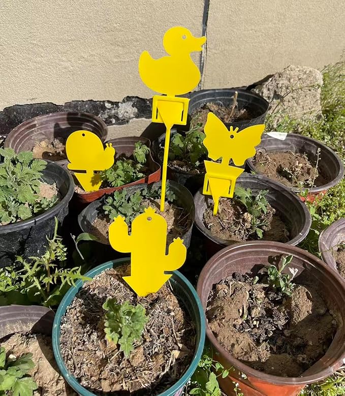 Gideal 24-Pack Dual-Sided Yellow Sticky Traps for Indoor/Outdoor Use, Gnat Trap for Flying Plant Insect Such as Fungus Gnats, Whiteflies, Aphids, Fruit Fly, Leafminers, etc - Cute Shapes