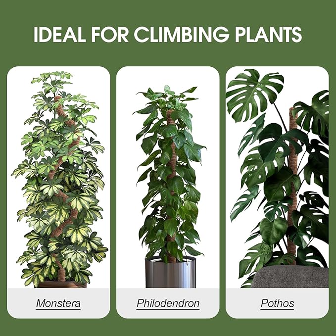 3 Pack Moss Pole 63 Inch Monstera Plant Support Moss Poles Bendable for Climbing Plants Longer Coco Coir Sticks Support Stakes Tall for Indoor Creeper DIY Shape Plants Grow Upwards