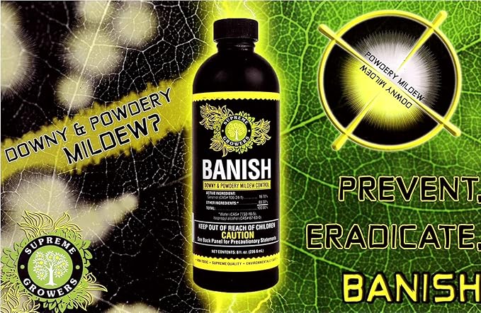 Banish All Natural Fungicide Downey & Powdery Mildew 8oz Concentrate Makes 60 Gallons Control Proprietary Mixture of Powerful Natural Geraniol