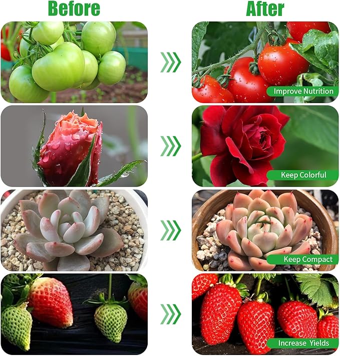 RWNTAO LED Plant Grow Light with Flexible Gooseneck, Suitable for Indoor Plants, Full Spectrum Clip on Plant Growing Light with Red, Blue, Yellow Beads, 10 Brightness Levels, 3/9/12H Auto Timer