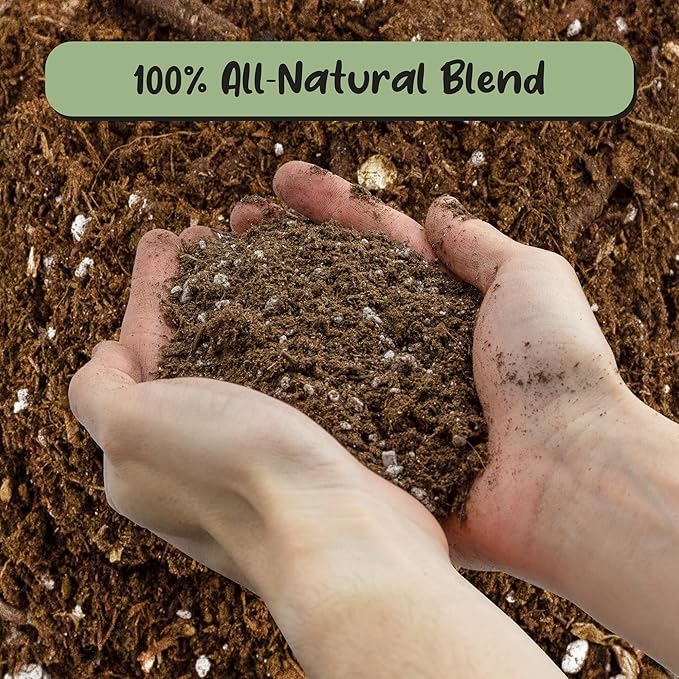Soil Sunrise Olive Tree Potting Soil Mix (8 Quarts) for Planting, Repotting, and Growing Olive Bushes/Plants