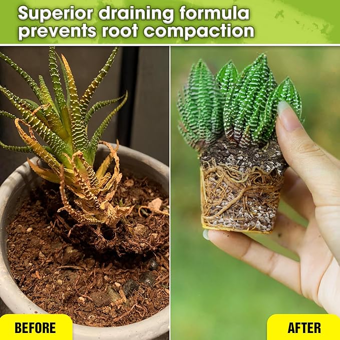 DUSPRO Succulents Soil Potting Mix – 7 in 1 Ingredients Well-Draining, Nutrient-Rich Cactus Potting Soil for Succulents and Cacti, Indoor & Outdoor Use, Ready to Use, Supports Healthy Root Growth, 8QT