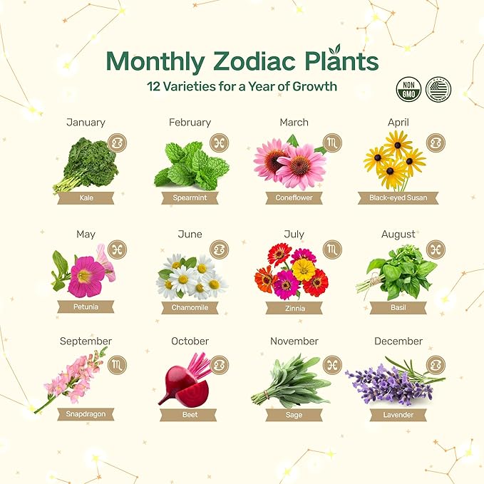 Lush&Dew Zodiac Garden Seed Bank, Gardening Gifts for Women Men, 12 Varieties Non-GMO Vegetables Herb Seeds in Seed Organizer, Magnetic Gift Box, Witchcraft Supplies with Moon Calendar (Water Signs)