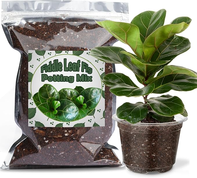Doter Organic Fiddle Leaf Fig Potting Mix 10qt, Indoor Plants Potting Mix for All Potted Ficus Lyrata Plant, Grow Healthy houseplants Indoors