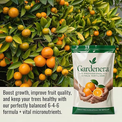 𝐁𝐄𝐒𝐓𝐒𝐄𝐋𝐋𝐄𝐑 Citrus Fertilizer + Vital Micronutrients - Perfect Balanced NPK for All Citrus - for Indoor and Outdoor Plants - Orange, Lime, Avocado and Lemon Tree Fertilizer - 10 QUARTS