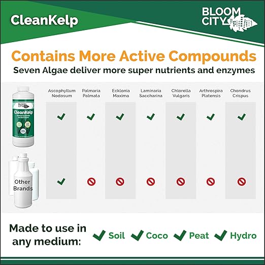 Bloom City Seaweed and Kelp Fertilizer – Liquid Seaweed Supplement for Stronger Roots, Faster Growth & Improved Stress Tolerance, 8 oz