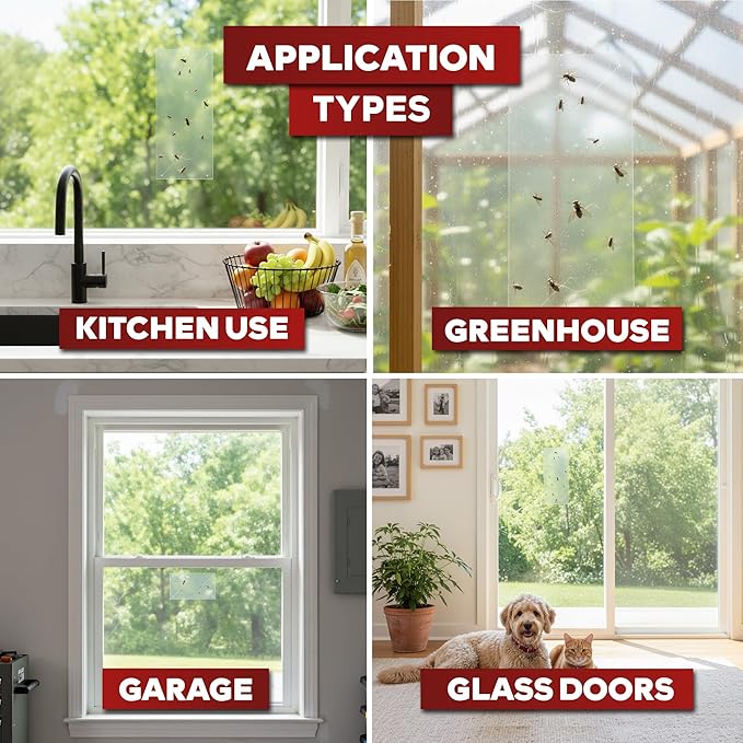 XFasten Window Fly Traps Sticky Clear 100-Pack Fruit Fly Traps for Indoors Sticky, Residue-Free, Odorless, Discreet Adhesive Indoor Catcher for Fruit Flies Houseflies, Gnats on Windows Kitchen Garage
