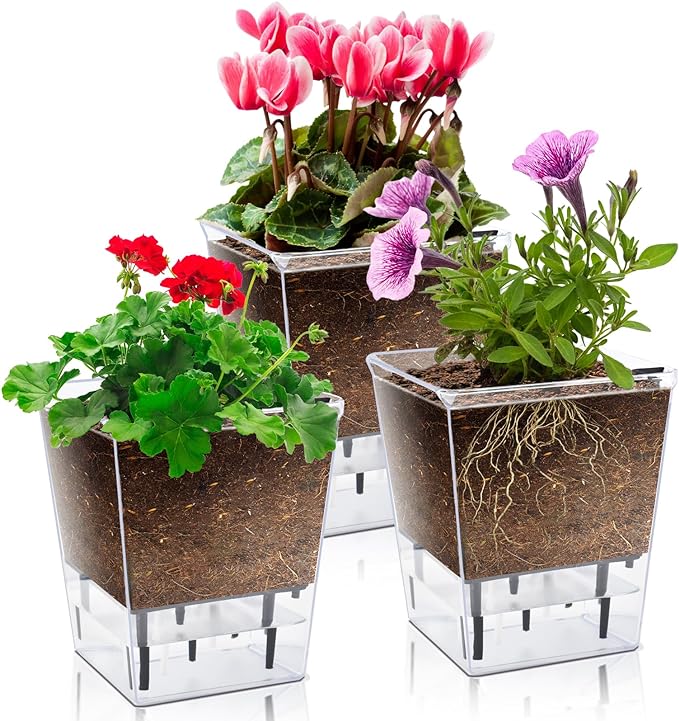 Self Watering Pots Set, 3 Pack Self Watering Pots for Indoor Plants, Clear Planter Pot with Deep Reservoir for Spider Plant, Orchid, African Violet (Clear, 3 Medium)