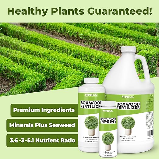 Boxwood Fertilizer – Liquid Plant Food for Dense Growth, Rich Green Foliage, & Stronger Roots, 1 Gallon