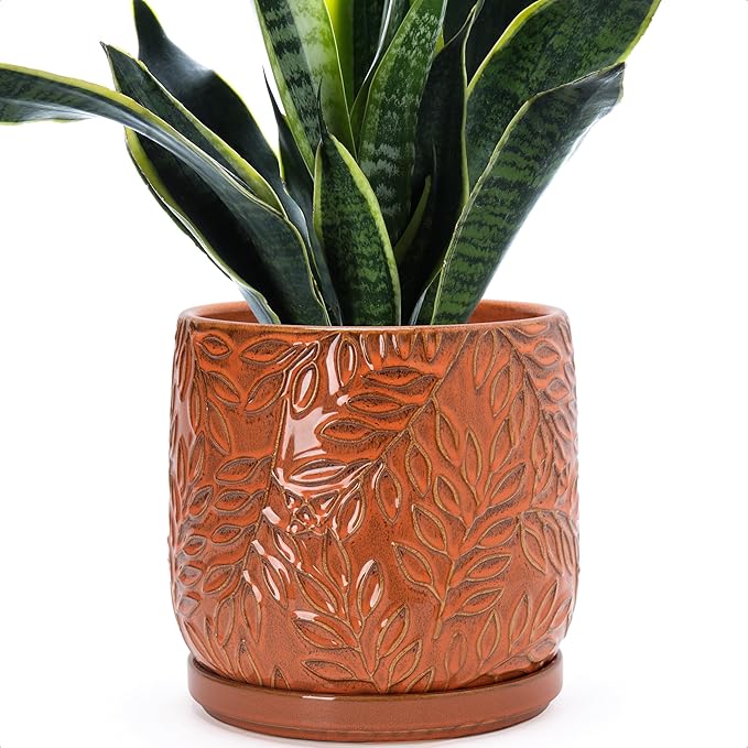 D'vine Dev 8 Inch Embossed Leaves Stoneware Planter Pot with Drainage Hole and Saucer, Pumpkin, 27-A-Q-J