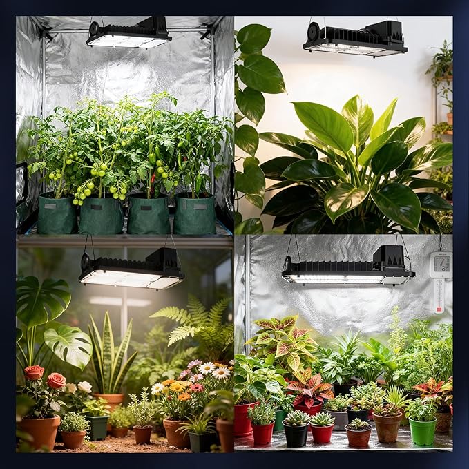 SANSI Grow Lights for Indoor Plants, 100W Full Spectrum Plant Lights for Indoor Growing, High PPFD IP65 Dimmable Grow Lights for Seed Starting in 3x3/2x2 Grow Tent Auto On/Off Timer Remote Control