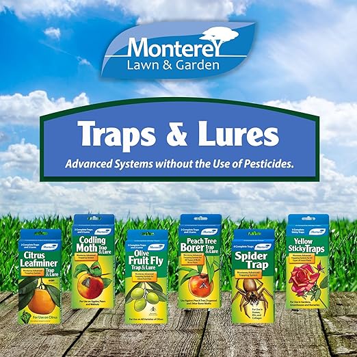 Monterey Yellow Sticky Insect Traps for All Insects, 5 Per Pack
