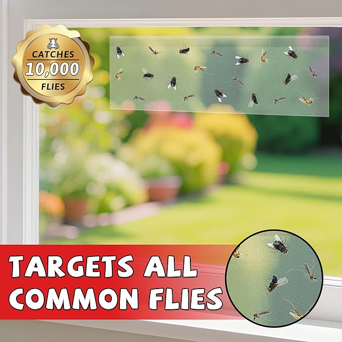 LULUCATCH Window Fly Trap, 24 Pack Fruit Fly Traps for Indoors, Sticky Gnat Trap Bug Trap, Non-Toxic Odorless Flying Insect Trap, Pet Safe Bug Catcher for Fruit Fly, Mosquitos, Fungus & Flying Insect