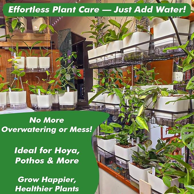 Planterhoma Self Watering Plant Pots for Indoor Plants 10 inch, 3 Packs Rectangle Self-Watering Planters with Drainage Hole, White African Violet Pots for Devil's Ivy, Spider Plant, Orchid, Herb