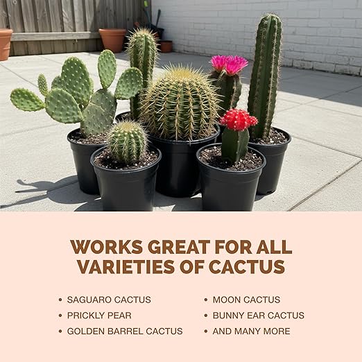 Cactus Fertilizer – Liquid Plant Food for All Cacti, Supports Healthy Cactus Growth & Blooming, 8 oz