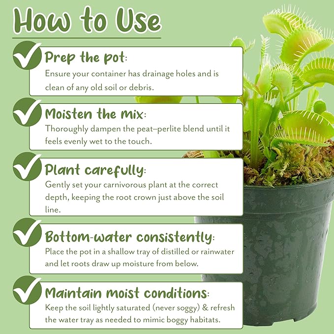 Soil Sunrise Carnivorous Plant Potting Soil Mix (8 Quarts) Ideal Additive for Venus Fly Traps, Sundews, and Pitcher Plants