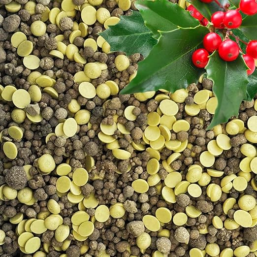 Quick-Release Soil Acidifier - Elemental Sulfur & Gypsum Mix - Hydrangea & Blueberry Fertilizer, Aluminum Sulfate Alternative, Improves Blue Hydrangea Color (1 qt. - 2 lbs.)