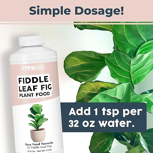Fiddle Leaf Fig Plant Food – Liquid Plant Food for Bigger Leaves, Stronger Roots & Healthy New Growth, 32 oz