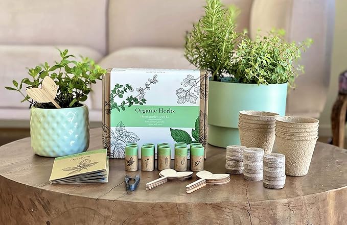 Indoor Herb Garden Starter Kit, 10 Gardening Seed Pack with Plant Markers, Growing Pots, Soil Discs, Wooden Box, DIY Kits for Growing Herbs Basil Thyme Parsley Cilantro