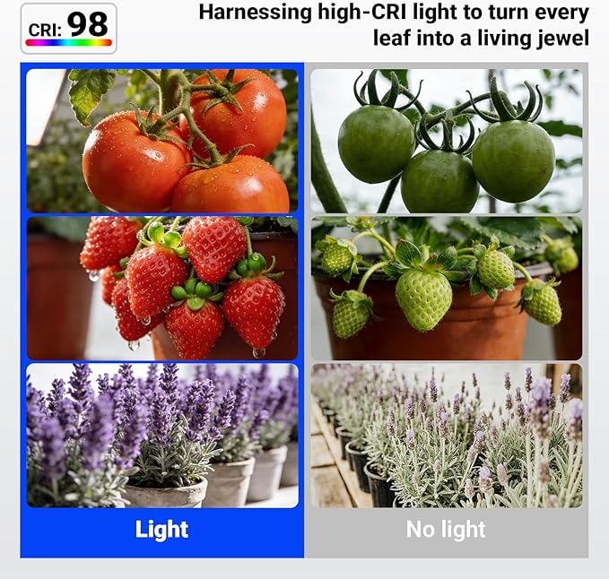 Barrina Orbgrow OG11A Grow Light Bulbs for Indoor Plants, Integrated Dimming & Timing, 5000K 22W(2 x 11W, 200 Watt Equiv), E26 Plant Light Bulb, Full Spectrum for Seeds and Greens, 2 Packs, Black