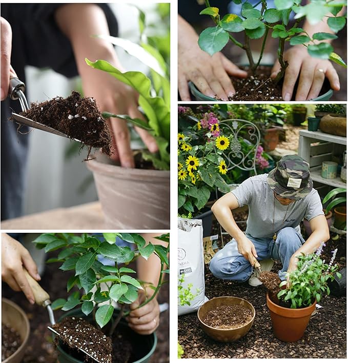 Doter Organic Potting Soil Mix 10qt for All Indoor & Outdoor Small Containers Including Herbs, Vegetables, and Flowers