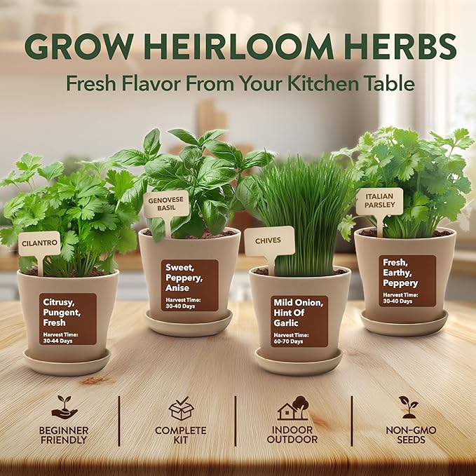 HOME GROWN Indoor Organic Herb Garden Kit – Unique Christmas Gift for Adults, Men, & Women - Grow 4 Herb Seeds & Herb Garden Planter Indoor Kit – Unique Christmas Gift for Adults, Men, & Women