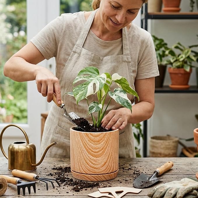 Dicunoy Set of 3 Ceramic Planters - 6"/5"/4" Cylinder Flower Pots with Drainage Holes and Saucers for Indoor, Outdoor, Garden, Cactus, Herbs, Snake Plants, Aloe Vera, All House Plants