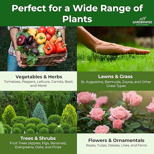 Gardenwise 13-13-13 Slow Release Granular Fertilizer – All Purpose Plant Food 13 13 13 for Outdoor Grass, Vegetables, Roses, Flowers, Shrubs, Trees. Lawns, Gardens, Potted Plants (10 quarts)