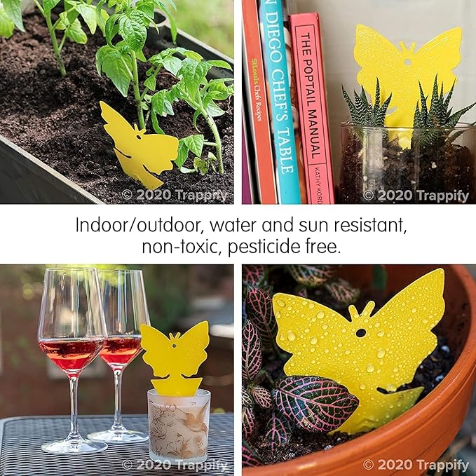 Trappify Sticky Gnat Traps for House Indoor - Yellow Fruit Fly Traps for Indoors | Outdoor Plants | Insect Catcher for White Flies, Mosquitos, Fungus Gnats | Disposable Glue Fly Trap Indoor (12 Pack)