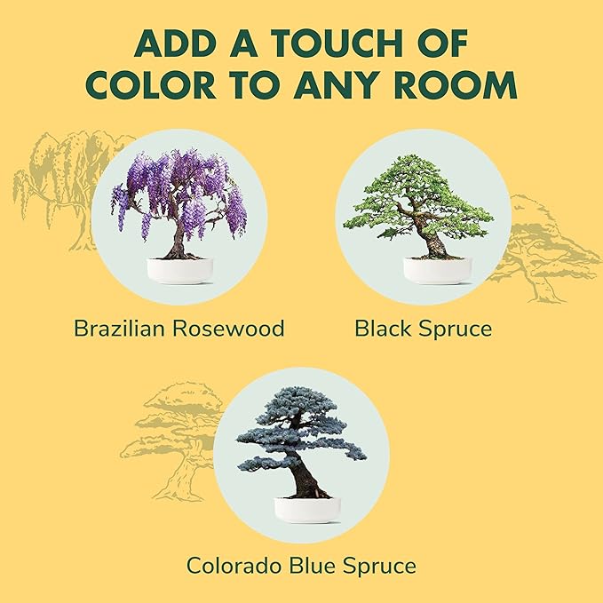 Garden Republic Bonsai Tree Kit - Mini Bonsai Seeds, 3 Types with Stylish Stone Pots, Pruning Shears Tool, Plant Markers, Wood Gift Box, and Potting Soil
