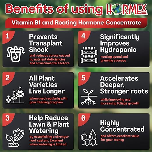 Hormex Liquid Rooting Hormone Concentrate with B1 – Root Growth Stimulator for Strong, Healthy Plants - Prevents Transplant Shock - Houseplants, Gardens, Hydroponics, Trees, Fruits & Vegetables, 128oz