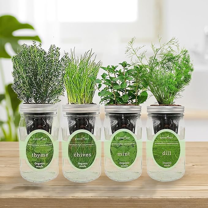 Hydroponic Herb Growing Kit Set, Self-Watering Mason Jar Herb Garden Starter Kit Indoor, New Christmas Gift for Mom (Mint,Thyme,Chives&Dill)