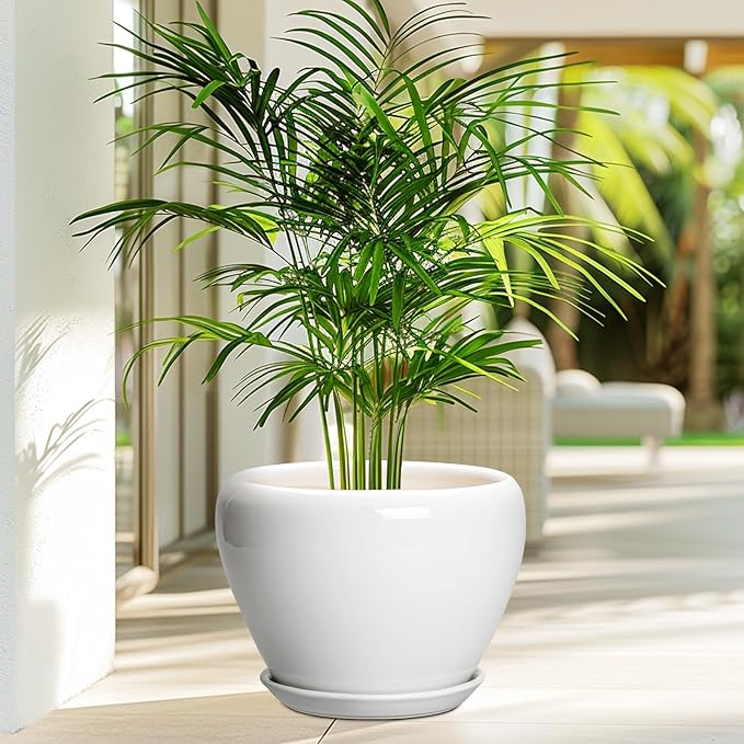 Ceramicfor Ceramic Pot for Plants - 10 Inch Planter with Drainage Hole and Saucer, Glaze Modern Round Flower Pot for Indoor Plants, Housewarming Gift, Home Decor, White