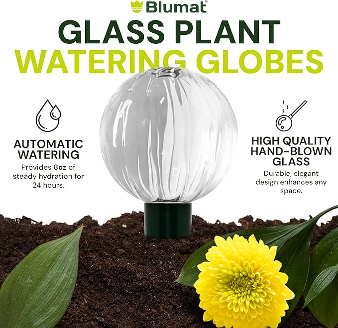 Blumat Glass Plant Self Watering Globes,Automatic Houseplant Drip Irrigation for Indoor Plants, Hanging Plants, Houseplants, Plant Garden Accessories,Vacation Plant Savers,Large Globe Small Adapter