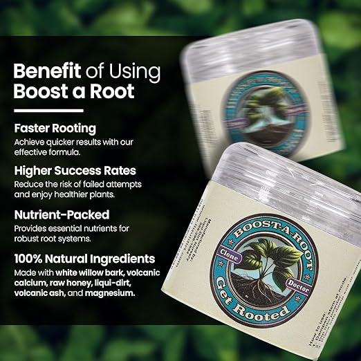 Liqui-Dirt Rooting Hormone Powder - All-Natural Root Stimulator for Faster Root Growth - Plant Starter Nutrients - 1.25 Ounce Tub - Organic & Chemical-Free