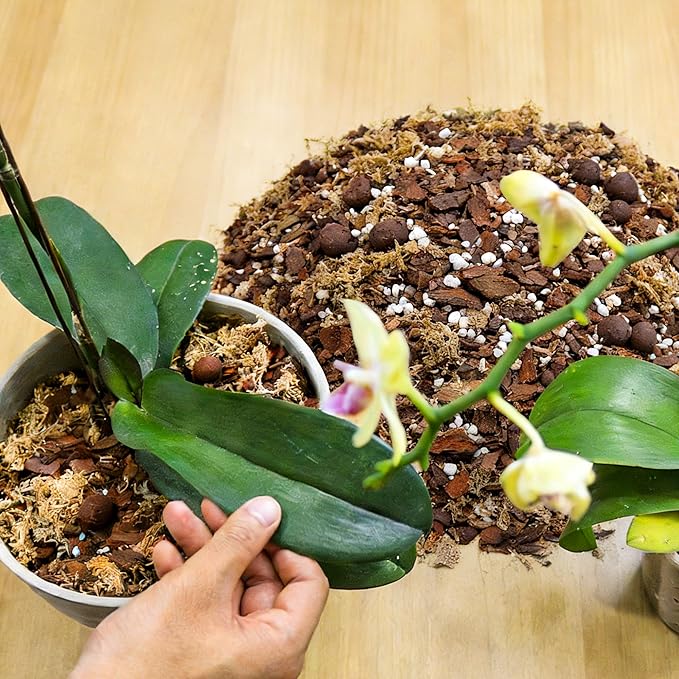 Orchid Bark Potting Mix 18QT - Orchid Soil Mix with Pine Bark, Perlite, Sphagnum Moss & Leca Clay, Fast-Draining Mix for Repotting Phalaenopsis & All Epiphytic Orchids, Indoor Orchid Mulch