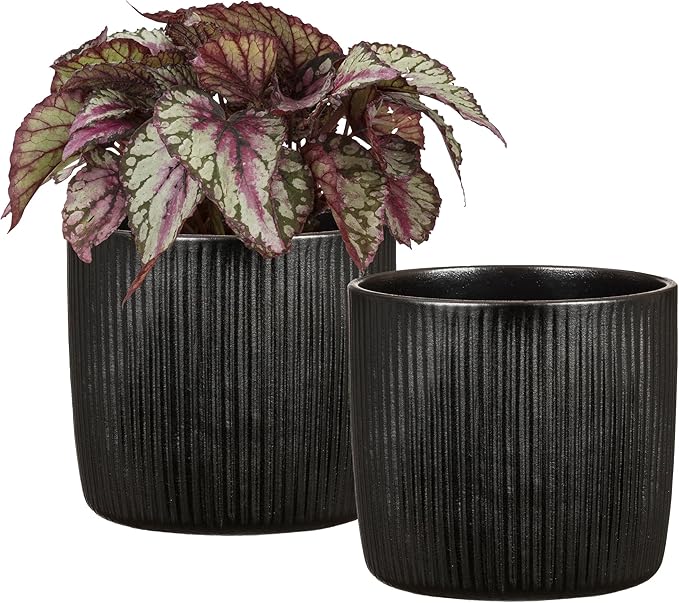 Scheurich Set of 2 Solido Linea Ebano Ceramic Planters – 6.9" Decorative Pots for Indoor Plants - Waterproof&UV-Resistant - Elegant Relief Texture - Made in Germany, Modern Home&Office Decor - 0.8 gl