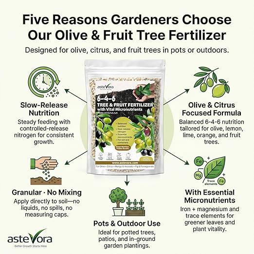 Olive Tree Fertilizer – Fruit Tree Fertilizer for Olive Tree, Citrus, Lemon, Lime, Fig, Avocado, Mango, Apple & Pomegranate – for Potted & Outdoor Trees (8 oz - 1/2 lbs.)