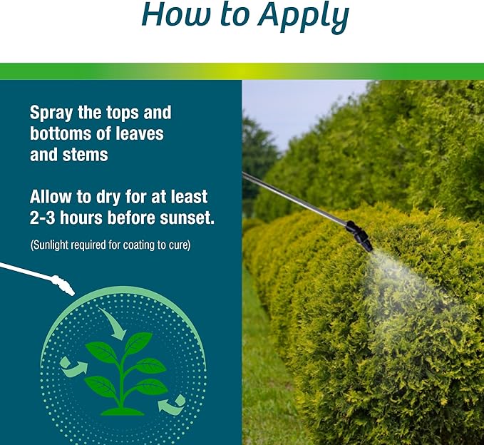 Wilt-Pruf® Concentrate | Protect Against Winter Damage, Drought, and Stress | Just Spray & Let Dry | Locks in Moisture w/Clear Foliar Film | Professional-Grade & Trusted | Replaces Burlap | (1 Gal)