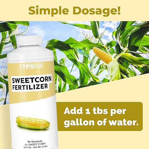 Sweet Corn Fertilizer – Liquid Plant Food for Bigger Ears, Vigorous Stalk Growth & Stronger Root Development, 32 oz