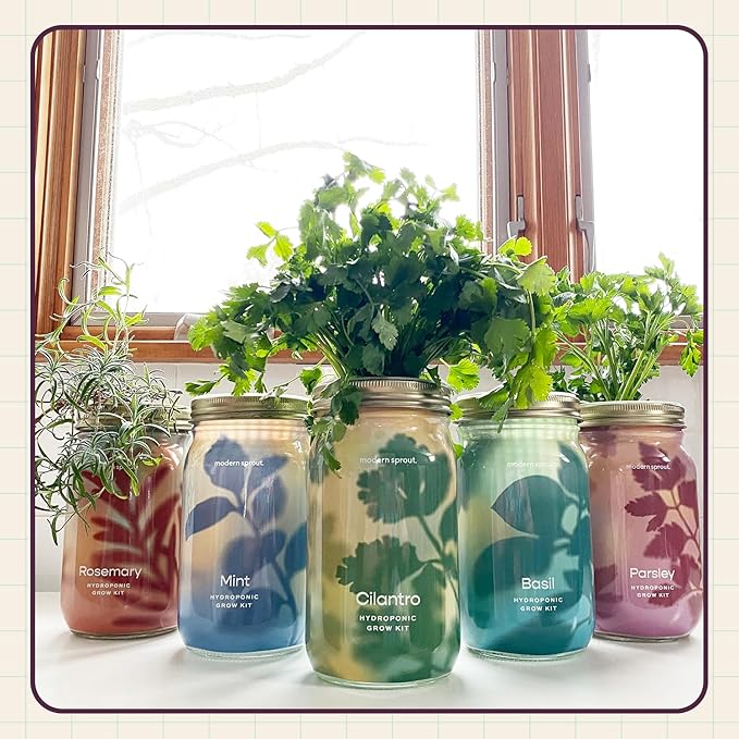 Modern Sprout Mason Garden Jar - Self-Watering Hydroponics Growing System Kit with Organic Herb Seeds - Jar Planter for Indoor Herb Garden - Seed Starter Kit - Home Decor & Gifting - Rosemary